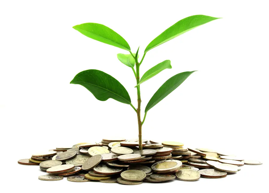 Инвестиции SKF в сохранение экологии | Свежие новости в Смоленске